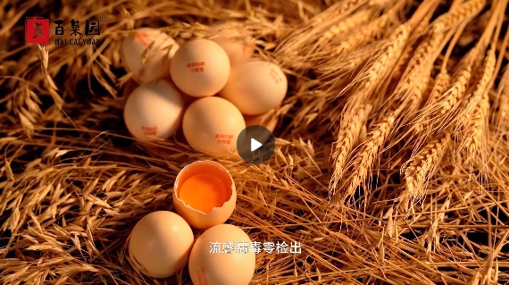 &#20339;&#21338;&#23448;&#26041;&#32593;&#39029;&#29256;&#45;&#20339;&#21338;&#65288;&#20013;&#22269;&#65289;
